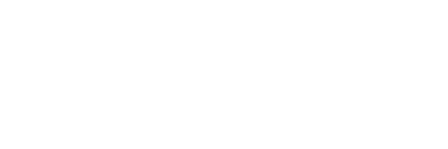 New Horizons Logo